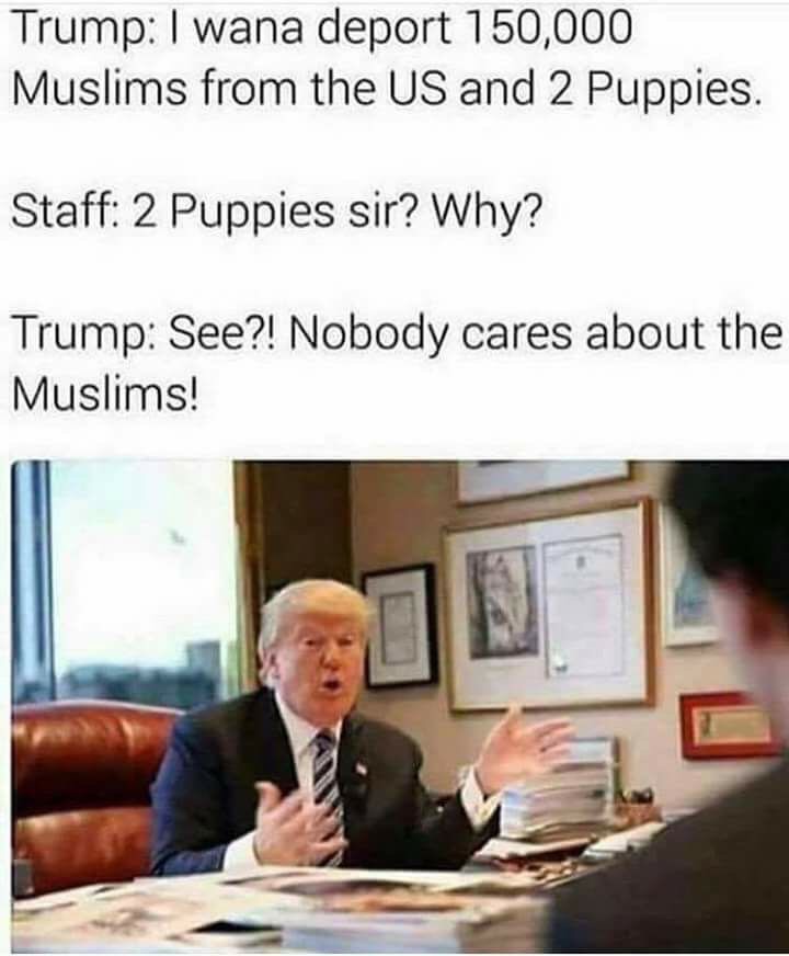 trump illegals puppies meme - Trump I wana deport 150,000 Muslims from the Us and 2 Puppies. Staff 2 Puppies sir? Why? Trump See?! Nobody cares about the Muslims!