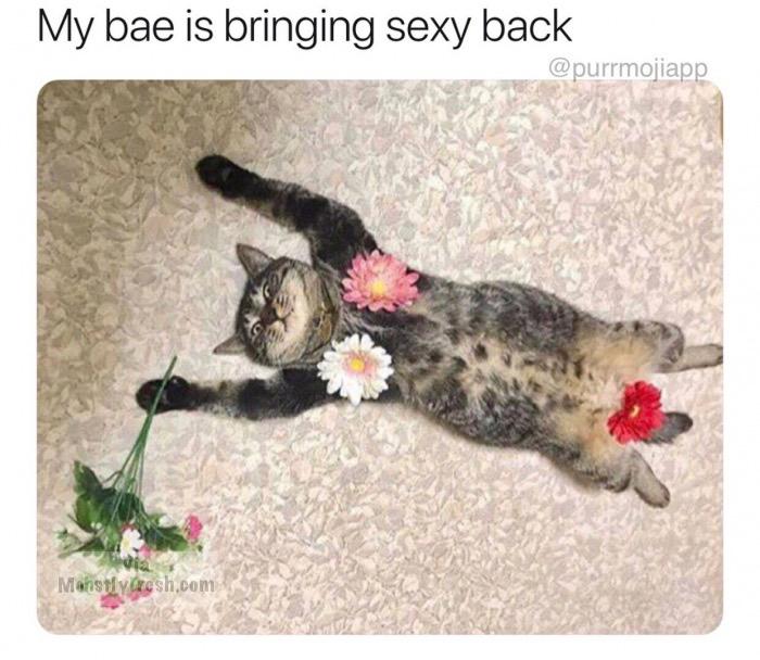 funny pictures to send to your crush - My bae is bringing sexy back Manstywesh.com