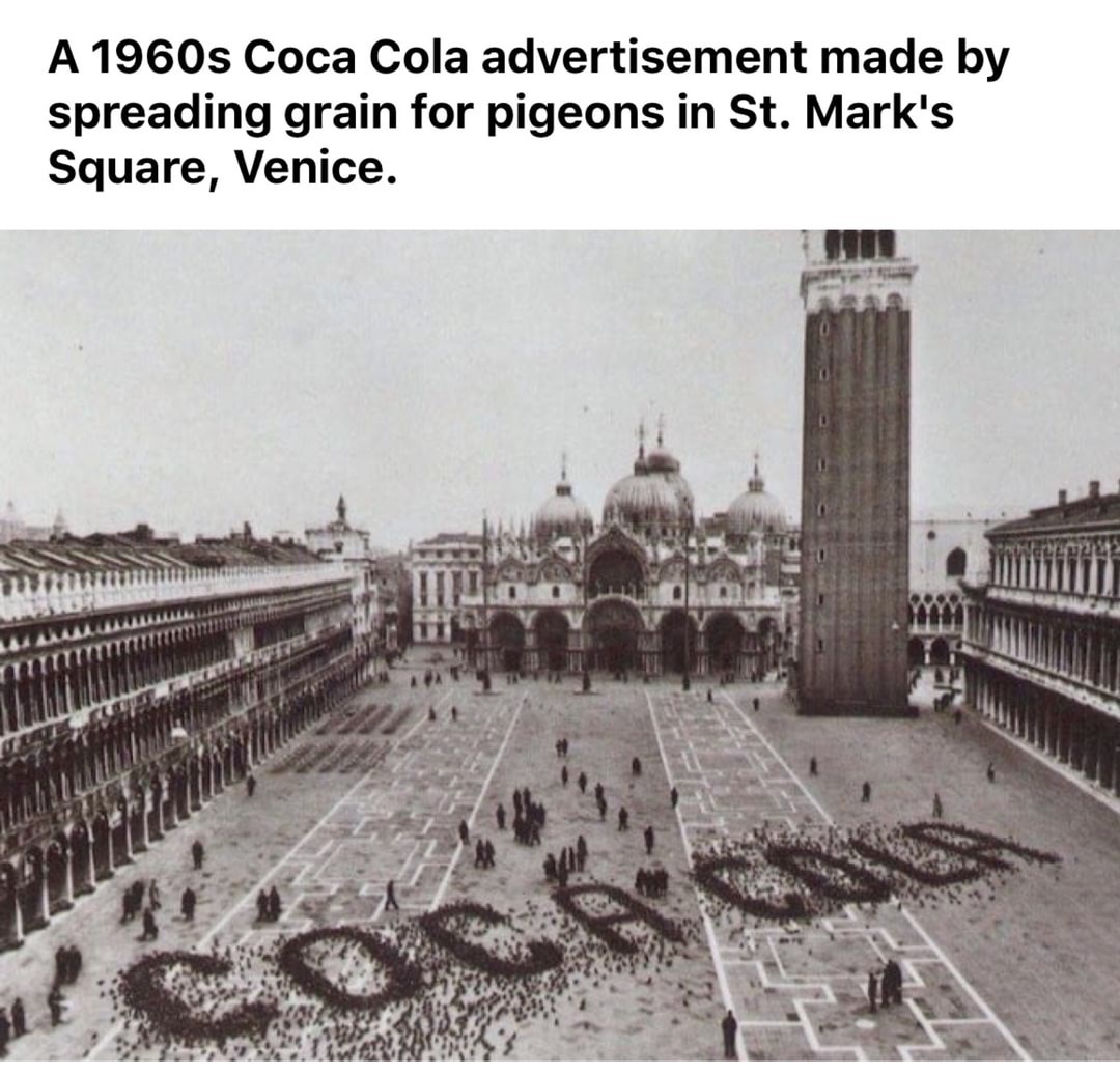 coca cola st mark's square - A 1960s Coca Cola advertisement made by spreading grain for pigeons in St. Mark's Square, Venice.