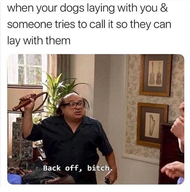 your dog is laying with you - when your dogs laying with you & someone tries to call it so they can lay with them Back off, bitch.