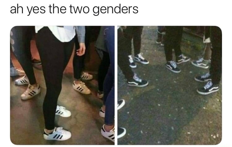 ah yes the two genders - ah yes the two genders