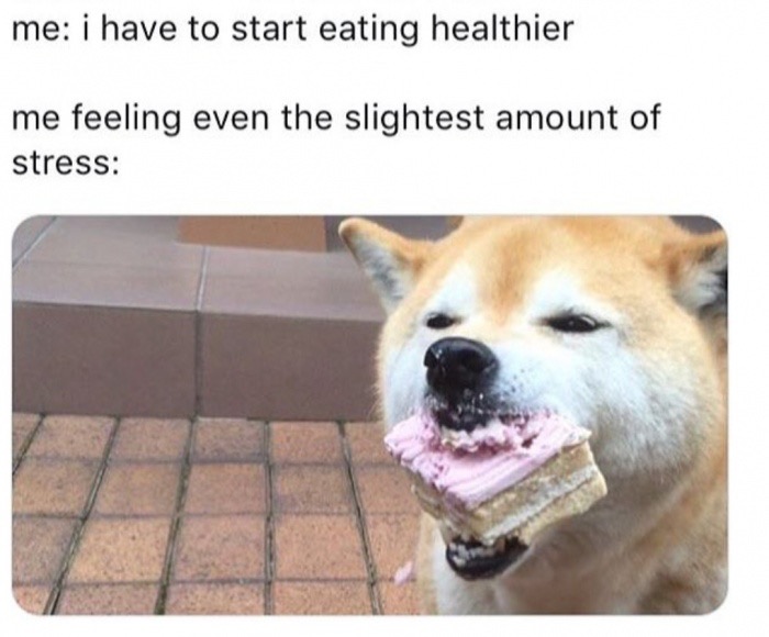 dank meme shiba inu dank memes - me i have to start eating healthier me feeling even the slightest amount of stress