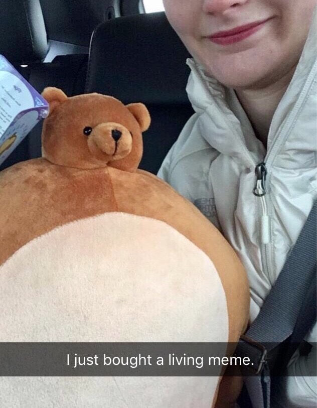teddy bear - I just bought a living meme.