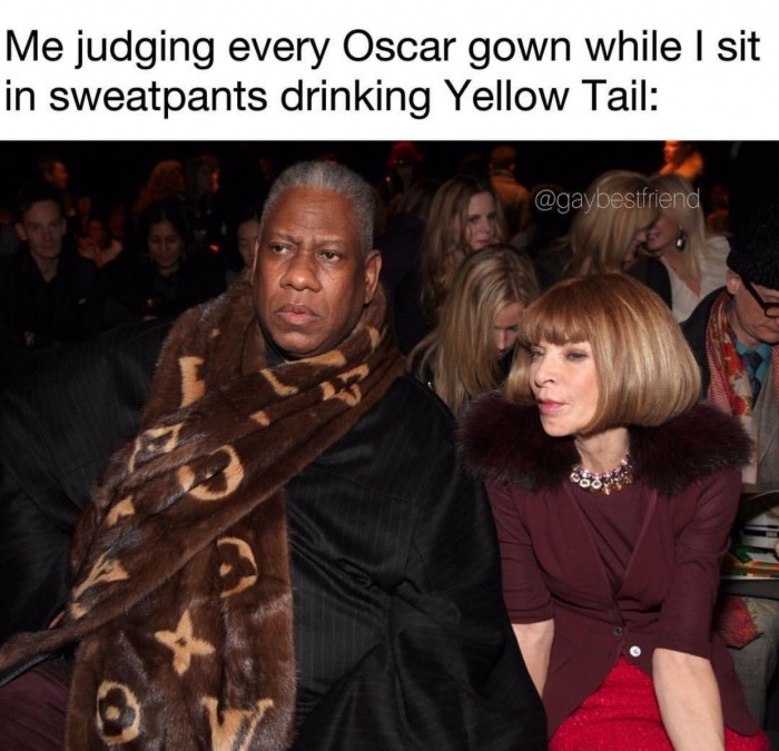 judging oscars meme - Me judging every Oscar gown while I sit in sweatpants drinking Yellow Tail