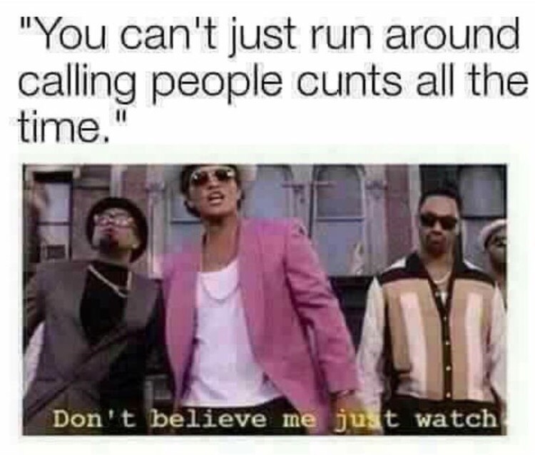 dont believe me just watch meme - "You can't just run around calling people cunts all the time." Don't believe me just watch