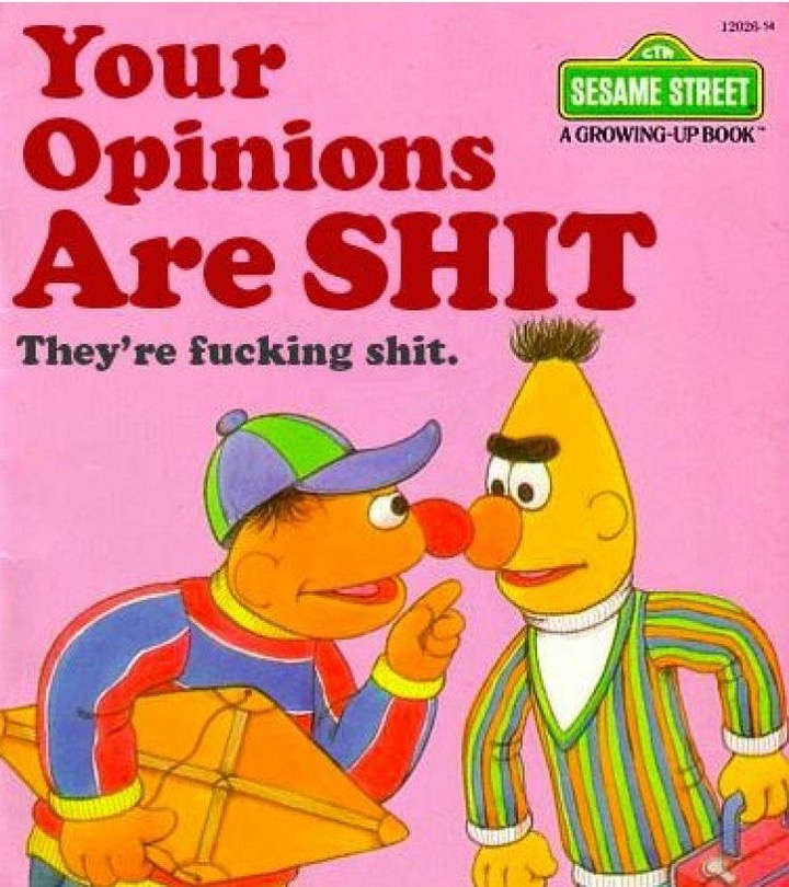 bert and ernie bernie sanders - 121313 Sesame Street A GrowingUp Book Your Opinions Are Shit They're fucking shit.