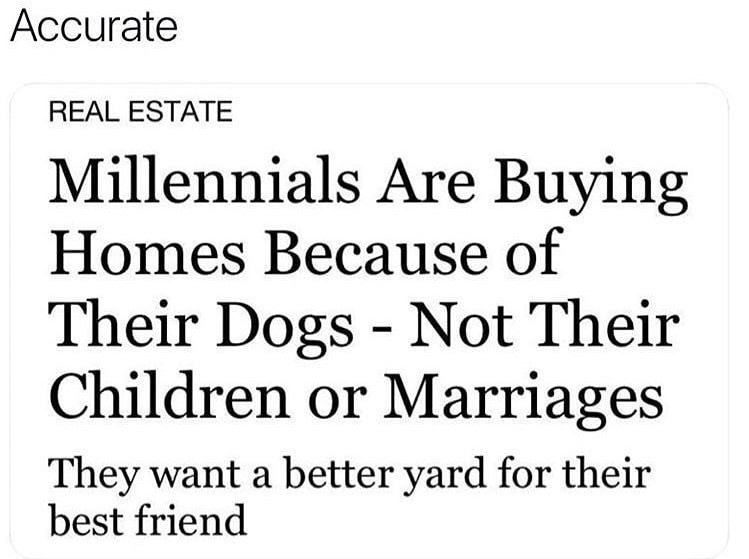 millennials are buying homes for their dogs - Accurate Real Estate Millennials Are Buying Homes Because of Their Dogs Not Their Children or Marriages They want a better yard for their best friend