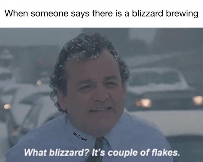 blizzard meme - When someone says there is a blizzard brewing What blizzard? It's couple of flakes.