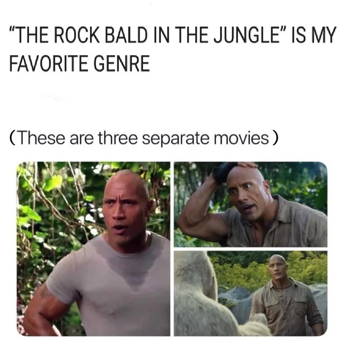 jungle memes - "The Rock Bald In The Jungle Is My Favorite Genre These are three separate movies