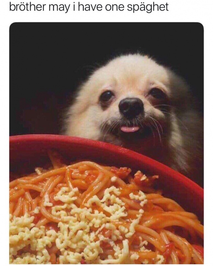 brother may i have one spaghet - brther may i have one spaghet
