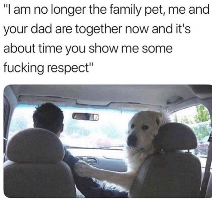 Thursday meme about i m no longer the family pet meme - "I am no longer the family pet, me and your dad are together now and it's about time you show me some fucking respect"