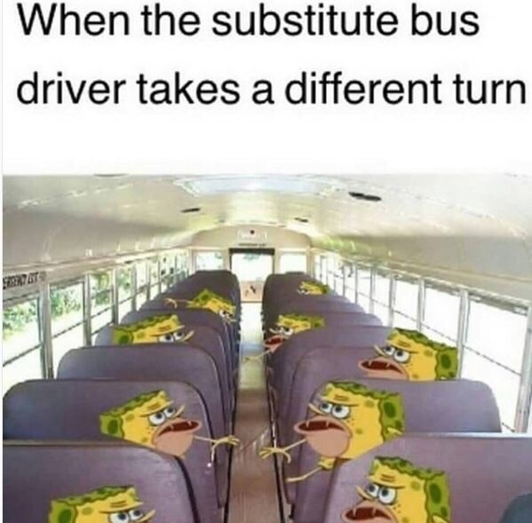 meme stream - substitute bus driver takes a different turn - When the substitute bus driver takes a different turn