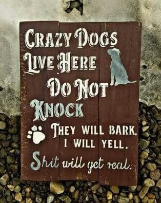 memes - Dog - Crazy Dogs Live Here Do Not Knock They Will Bark. I Will Yell. Shit will get real.