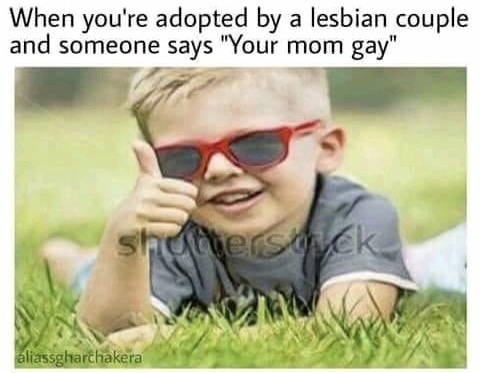 no your mom gay - When you're adopted by a lesbian couple and someone says "Your mom gay" terstock aliassgharthakera