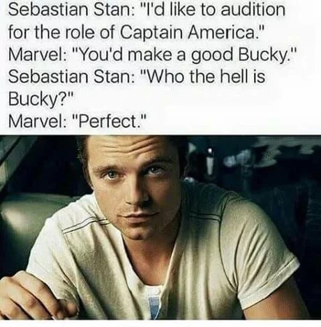 sebastian stan funniest memes - Sebastian Stan "I'd to audition for the role of Captain America." Marvel "You'd make a good Bucky." Sebastian Stan "Who the hell is Bucky?" Marvel "Perfect."