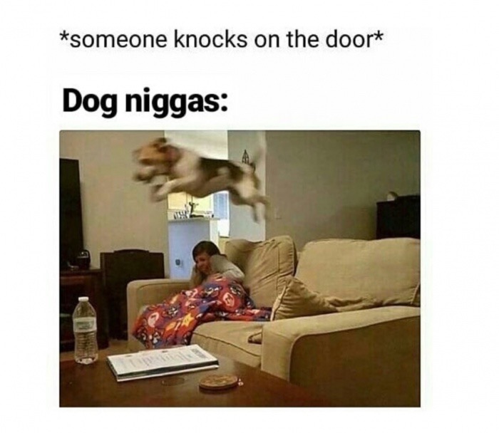 dog niggas be like meme - someone knocks on the door Dog niggas