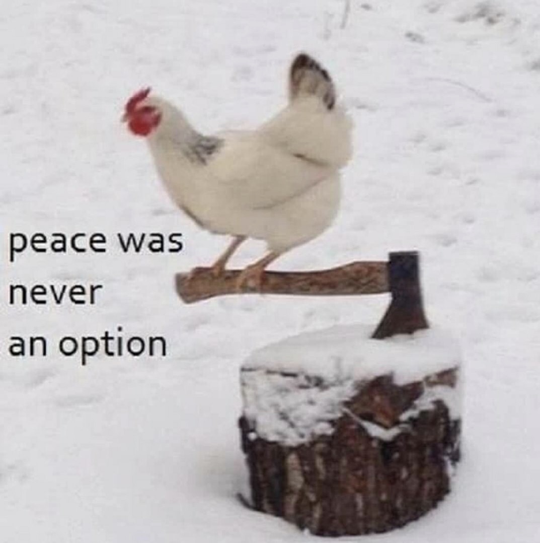 peace was never an option chicken - peace was never an option