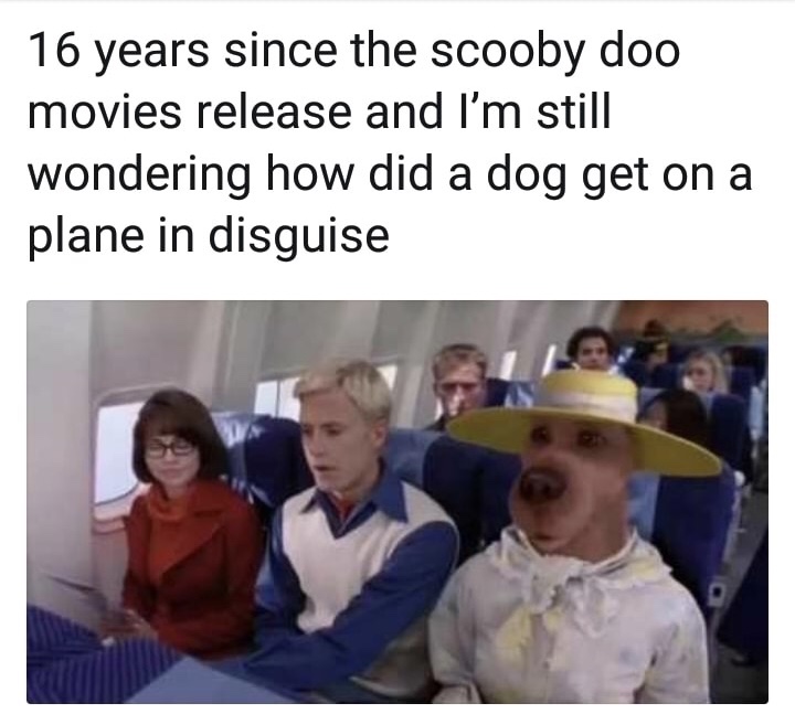 scooby doo movie memes - 16 years since the scooby doo movies release and I'm still wondering how did a dog get on a plane in disguise