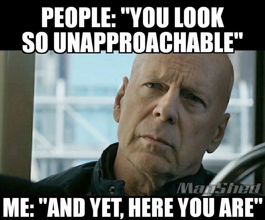 intj meme funny - People "You Look So Unapproachable" Manshed Me "And Yet, Here You Are"