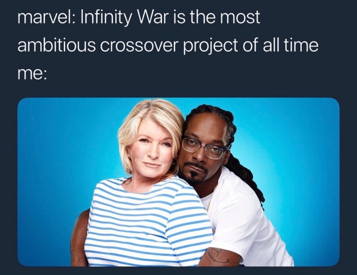 snoop dogg and martha stewart - marvel Infinity War is the most ambitious crossover project of all time me