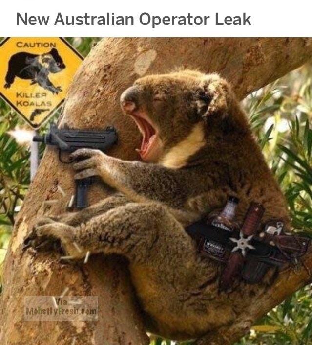 australian memes - New Australian Operator Leak Caution Killer Mhstlyfresh.com