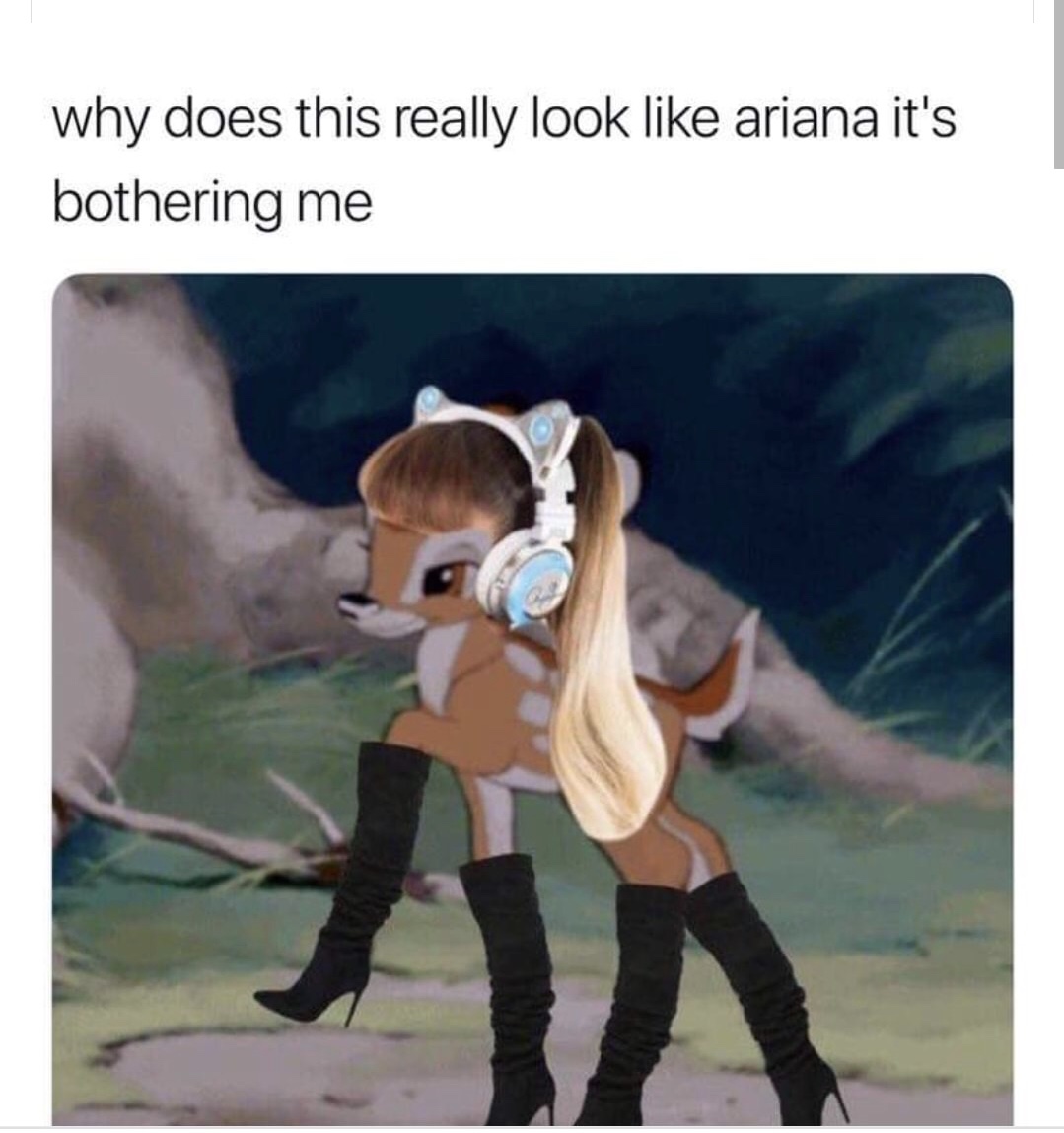 ariana grande bambi meme - why does this really look ariana it's bothering me