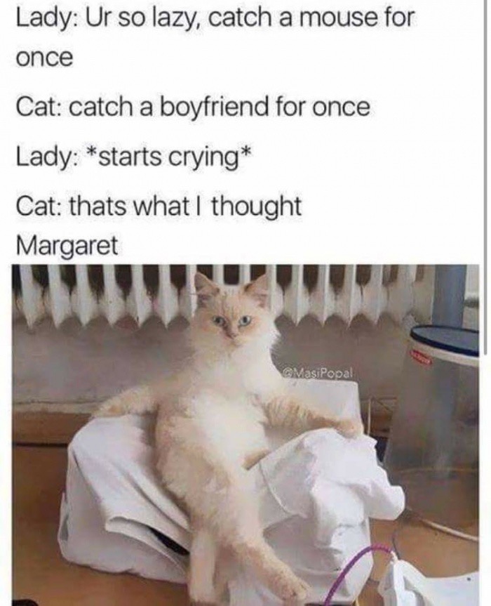 happy cat memes - Lady Ur so lazy, catch a mouse for once Cat catch a boyfriend for once Lady starts crying Cat thats what I thought Margaret Masipopal