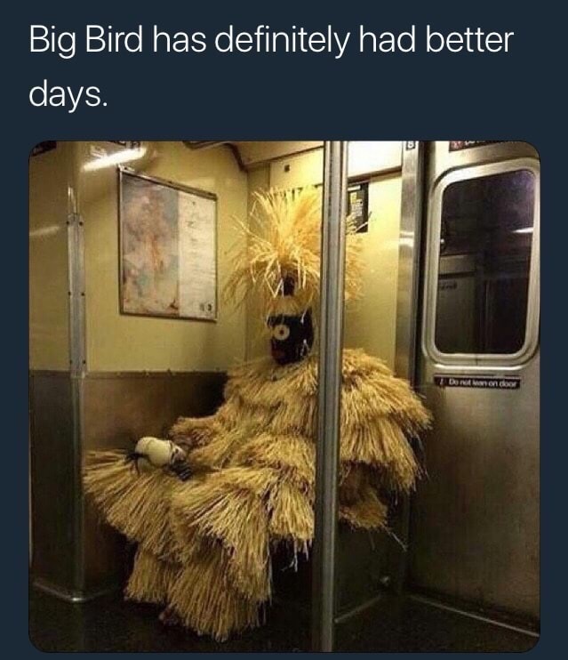 memes - subway wtf - Big Bird has definitely had better days.
