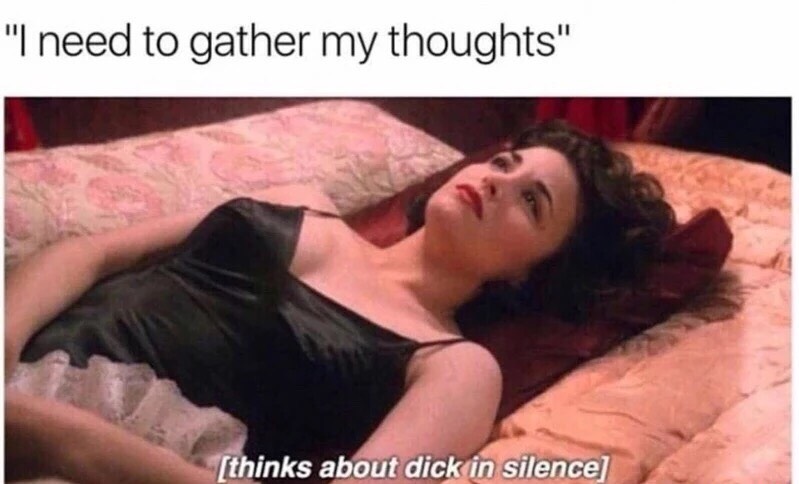 memes - dick on my mind meme - "I need to gather my thoughts" thinks about dick in silence