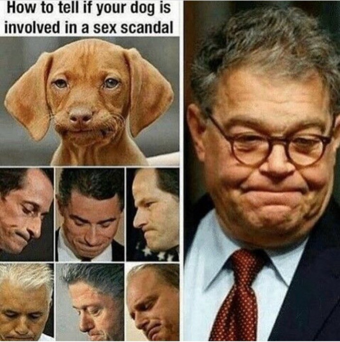 al franken - How to tell if your dog is involved in a sex scandal