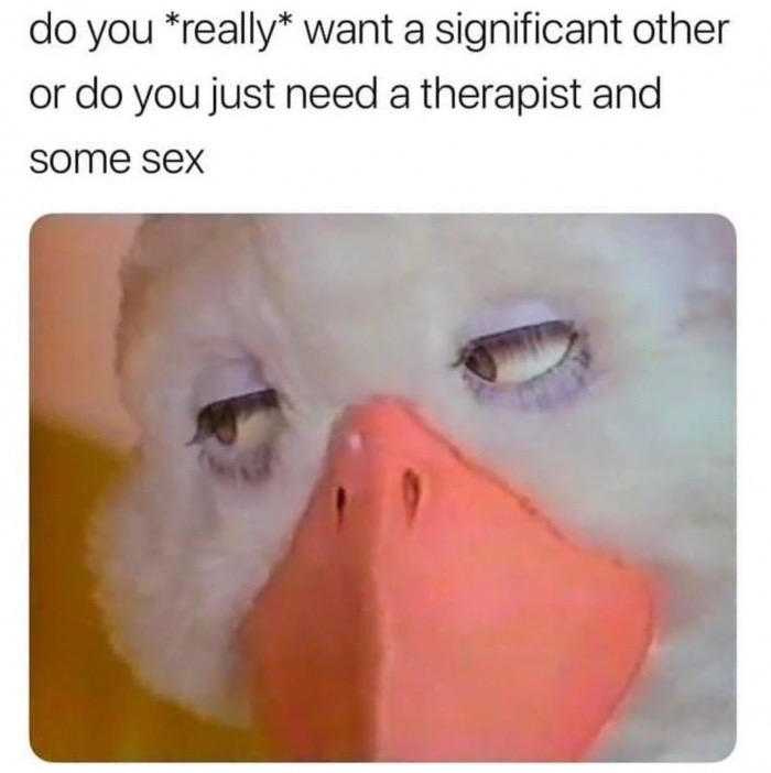 you are good question meme - do you really want a significant other or do you just need a therapist and some sex