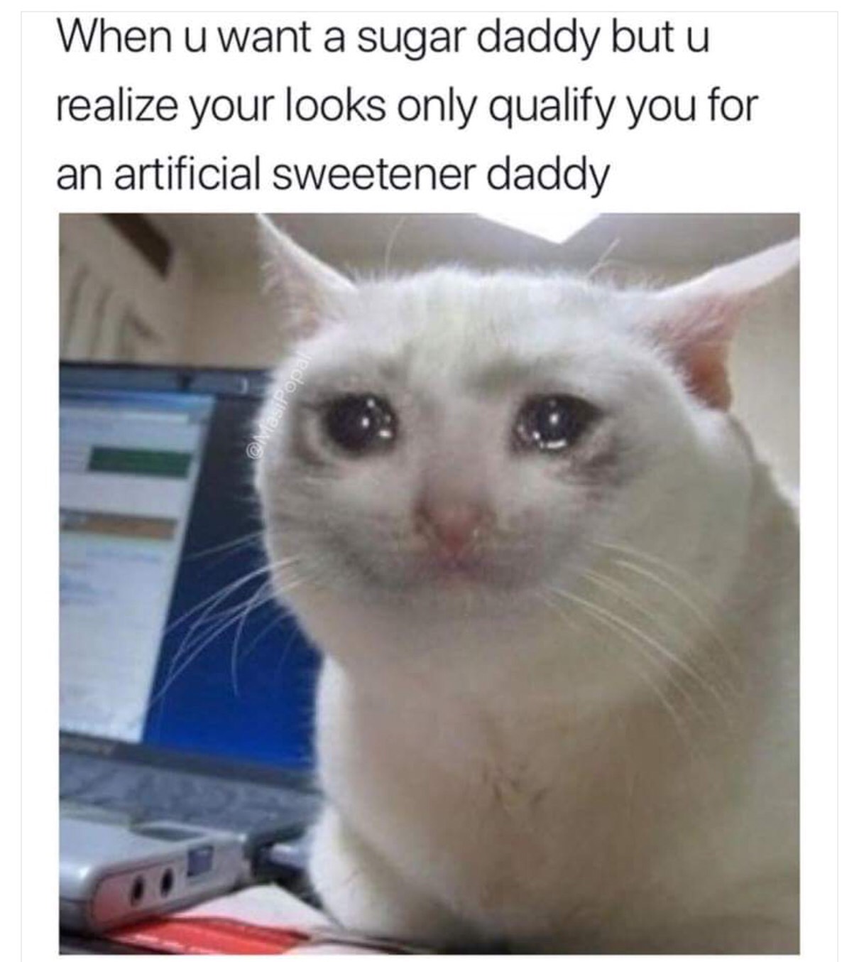 artificial sweetener daddy - When u want a sugar daddy but u realize your looks only qualify you for an artificial sweetener daddy