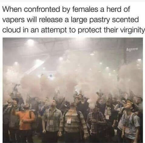 vapers meme - When confronted by females a herd of vapers will release a large pastry scented cloud in an attempt to protect their virginity Agnew