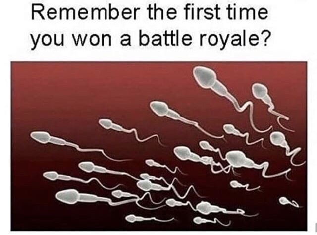 remember the first time you won a battle royale - Remember the first time you won a battle royale?