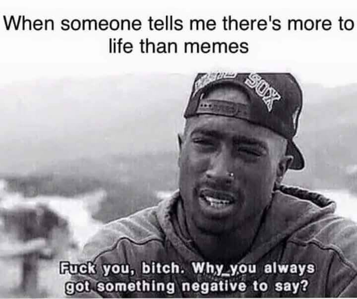fuck you bitch why you always got something negative to say - When someone tells me there's more to life than memes Sox Fuck you, bitch. Why_you always got something negative to say?
