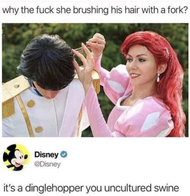 disney uncultured swine - why the fuck she brushing his hair with a fork? Disney it's a dinglehopper you uncultured swine
