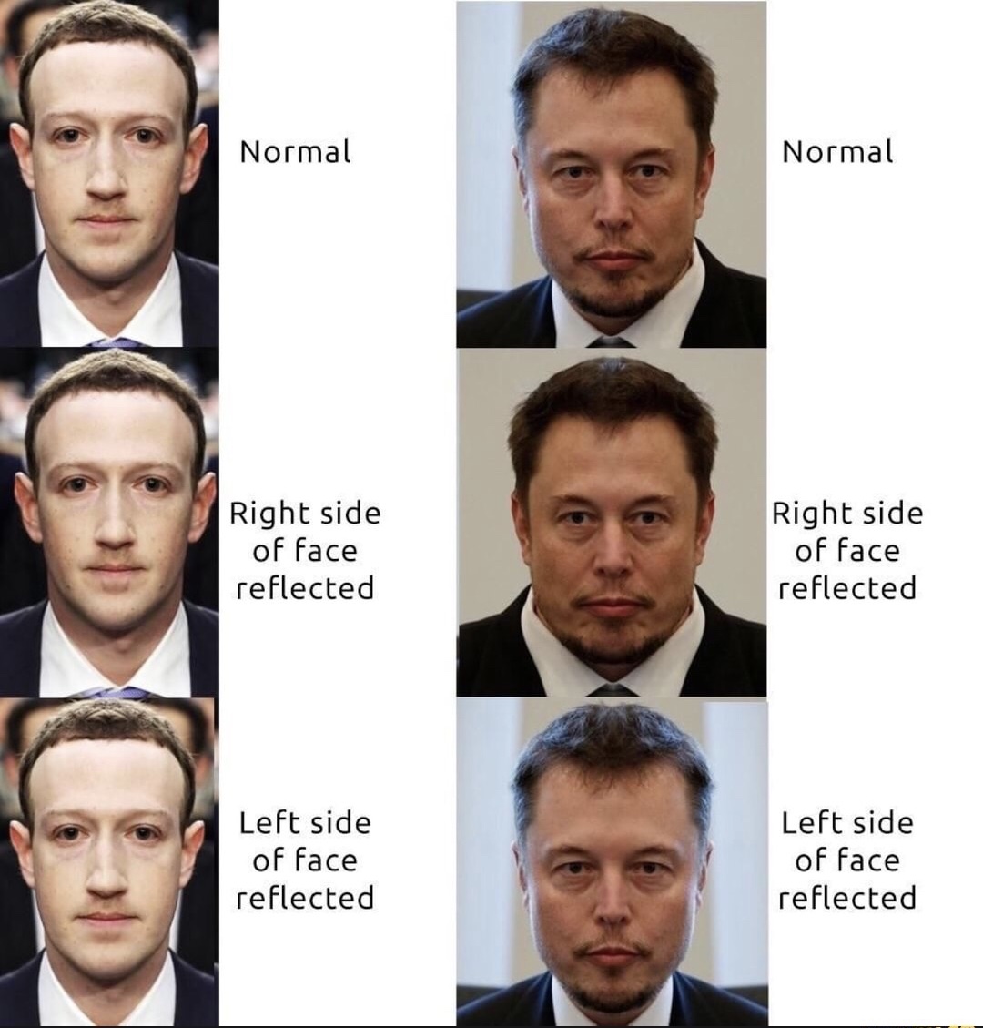 zuckerberg face symmetry - Normal Normal Right side of face reflected Right side of face reflected Left side of face reflected Left side of face reflected