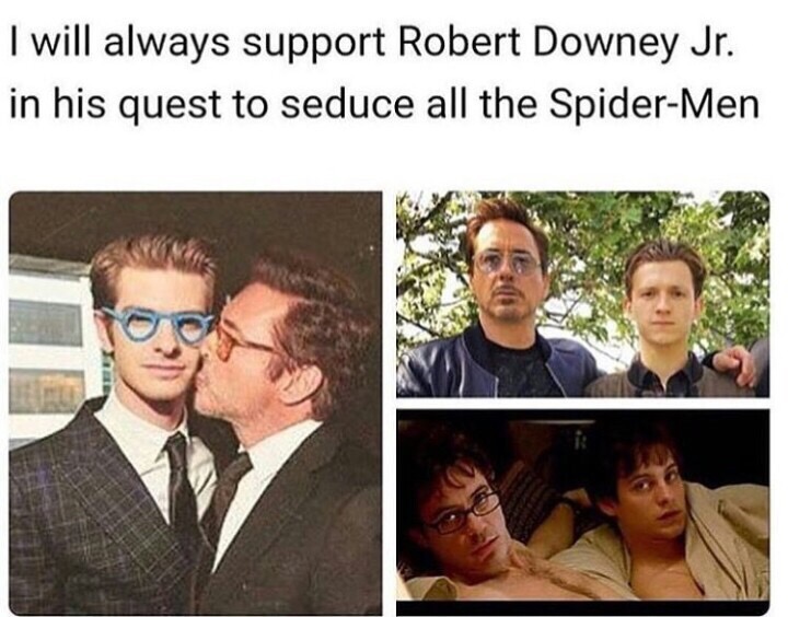 tom holland and robert downey jr meme - I will always support Robert Downey Jr. in his quest to seduce all the SpiderMen