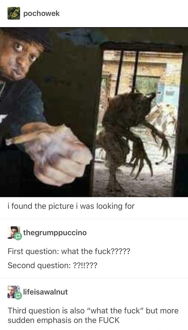 cursed image deathclaw - 9 pochowek i found the picture i was looking for thegrumppuccino First question what the fuck????? Second question ??!!??? lifeisawalnut Third question is also "what the fuck" but more sudden emphasis on the Fuck