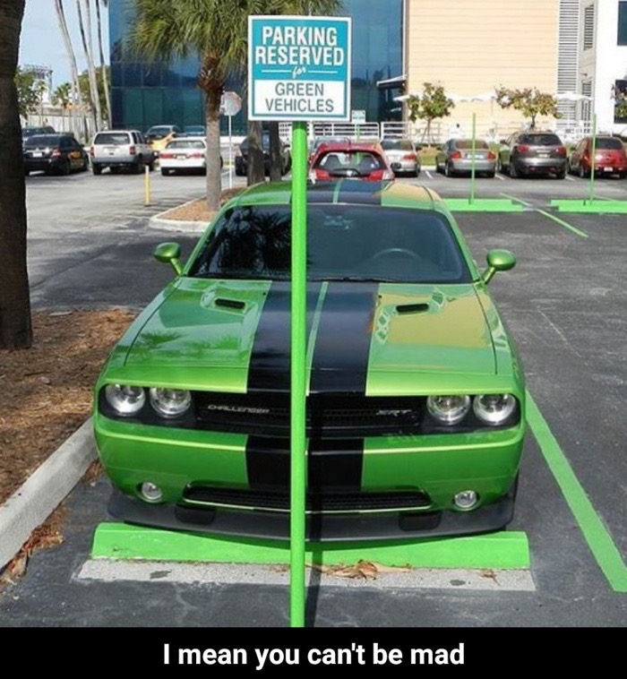 green car parking only - Parking Reserved Green Vehicles I mean you can't be mad