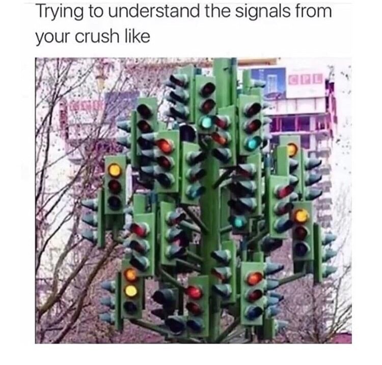traffic light tree - Trying to understand the signals from your crush