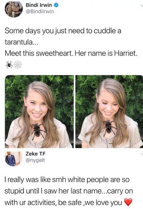 bindi irwin meme - Bindi Irwin Some days you just need to cuddle a tarantula... Meet this sweetheart. Her name is Harriet. Zeke Tf I really was smh white people are so stupid until I saw her last name...carry on with ur activities, be safe ,we love you