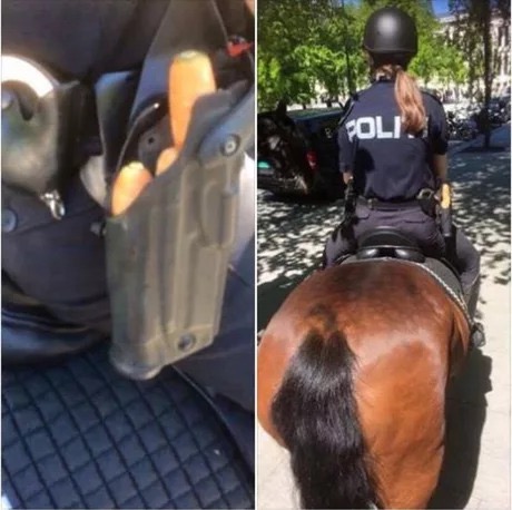 norwegian horse police -