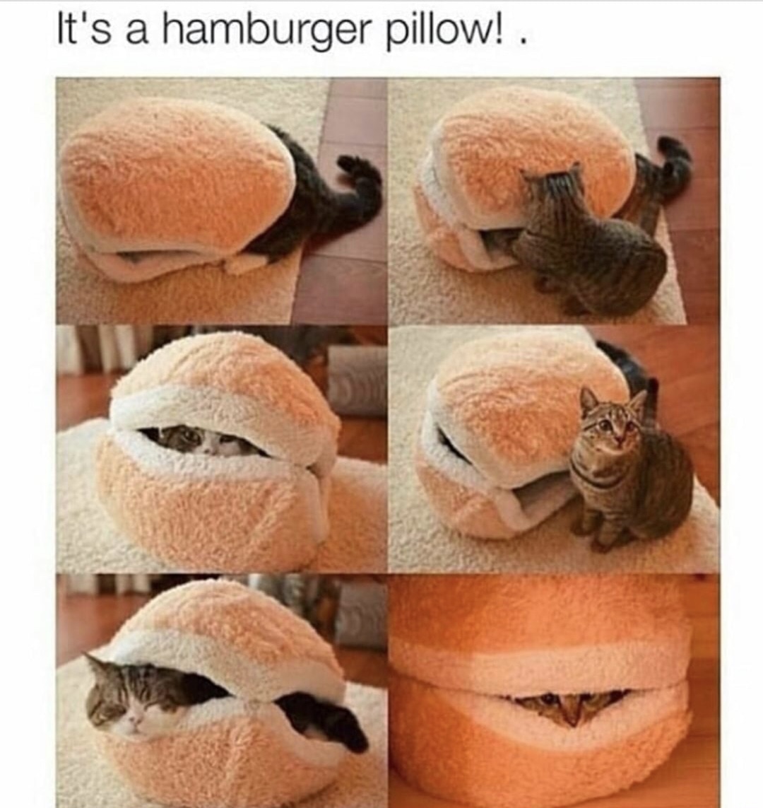 It's a hamburger pillow! .