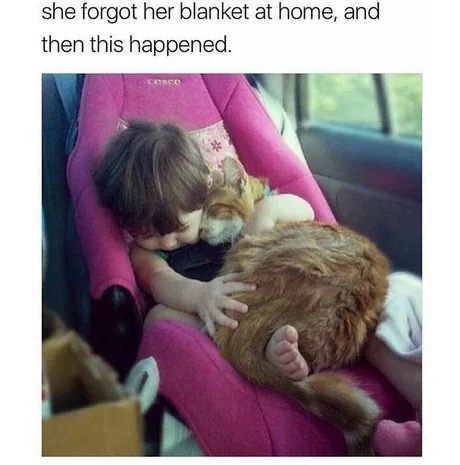 best pet for a kid - she forgot her blanket at home, and then this happened.