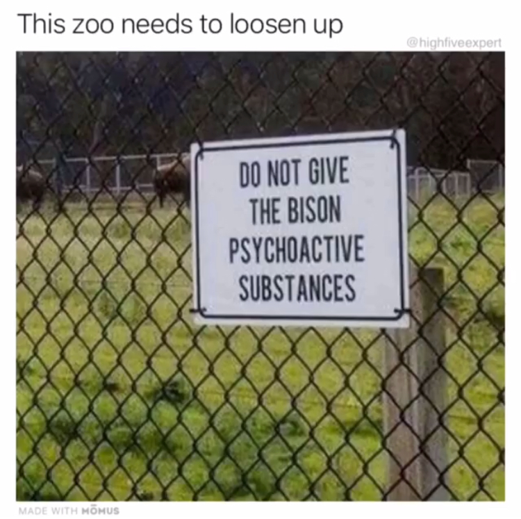 melbourne - This zoo needs to loosen up highfive expert Do Not Give The Bison Psychoactive Substances Made With Honus