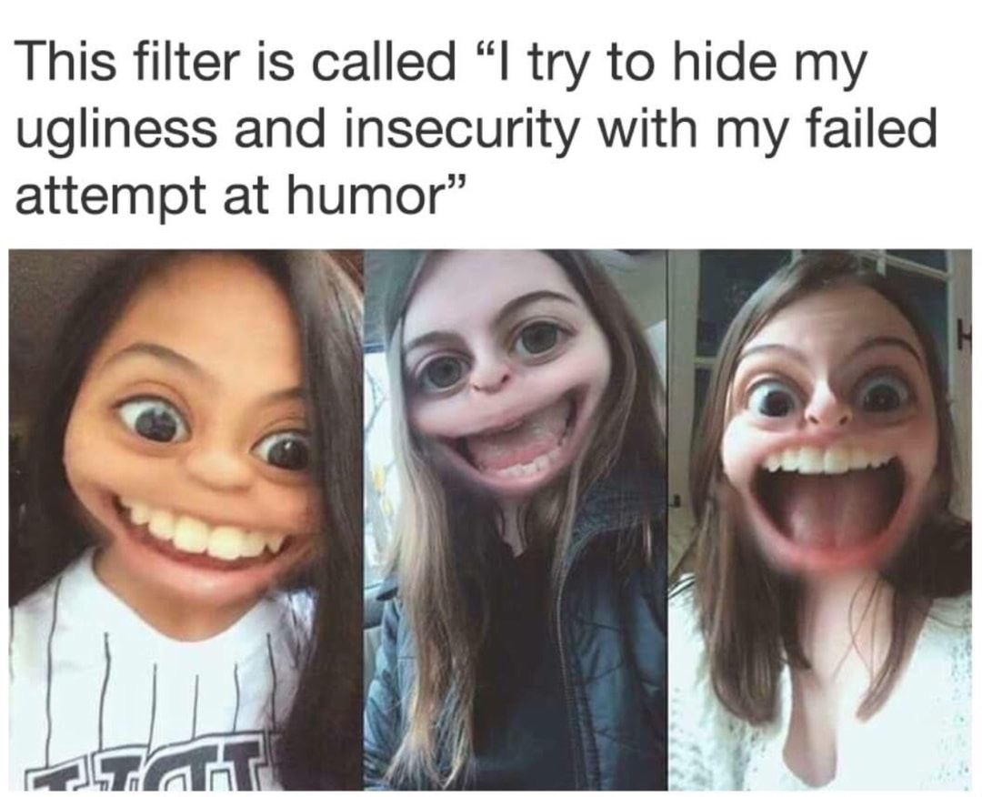 girl filter meme - This filter is called I try to hide my ugliness and insecurity with my failed attempt at humor"