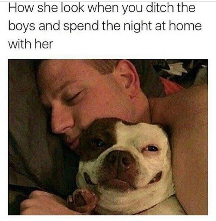 husband cuddling dog - How she look when you ditch the boys and spend the night at home with her