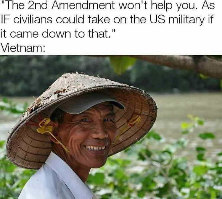vietnam memes - "The 2nd Amendment won't help you. As If civilians could take on the Us military if it came down to that." Vietnam