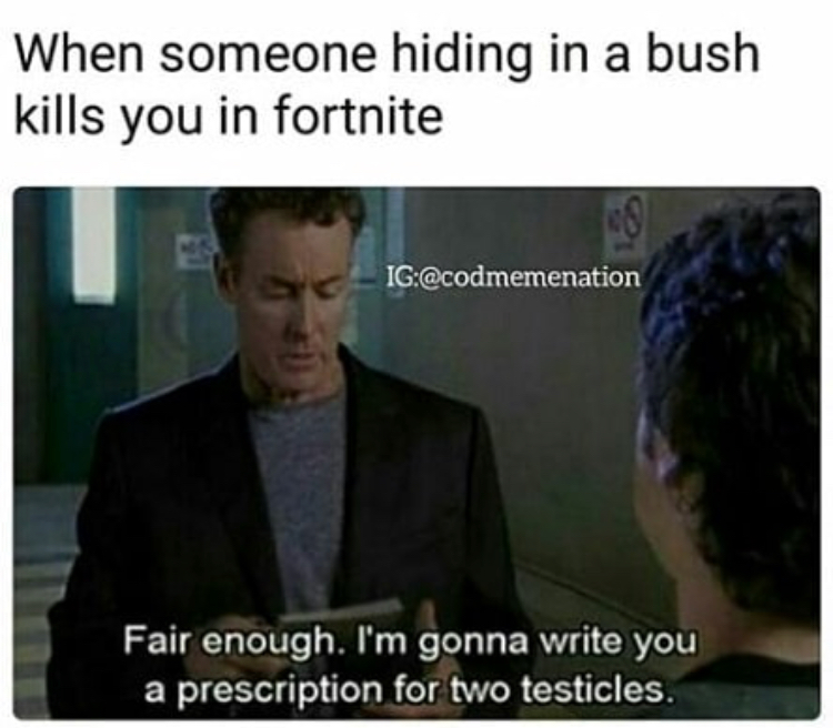 photo caption - When someone hiding in a bush kills you in fortnite Ig Fair enough. I'm gonna write you a prescription for two testicles.